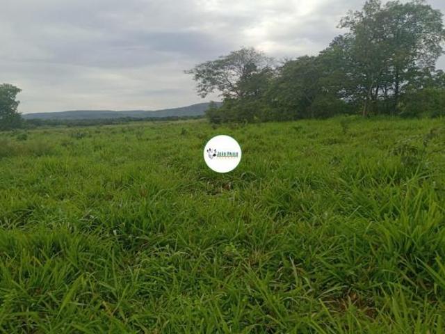 Sítio e chácara venda em Região Geográfica Imediata de Unaí, Região Integrada de Desenvolvimento do Distrito Federal e Entorno