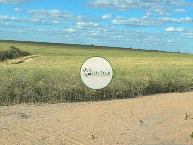 Sítio e chácara venda em Região Geográfica Imediata de Unaí, Região Integrada de Desenvolvimento do Distrito Federal e Entorno