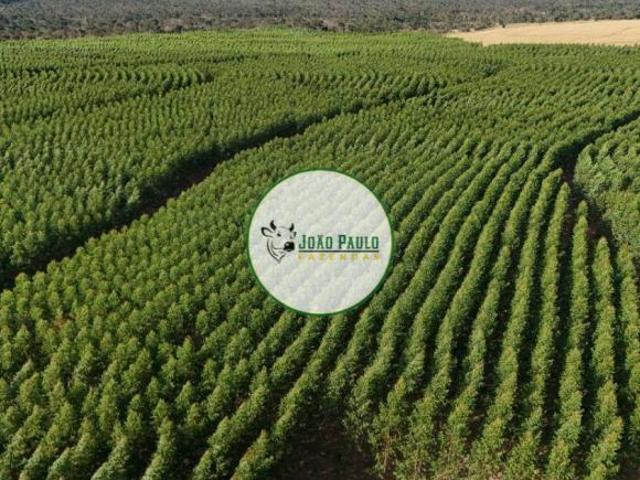 Sítio e chácara venda em Vila Lucídia, Buritizeiro