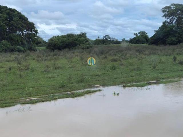 Sítio e chácara venda em Região Geográfica Imediata de Cáceres, Antônio João