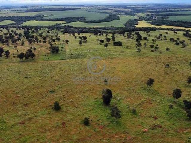 Sítio e chácara venda em Caçu, Região Geográfica Intermediária de Rio Verde