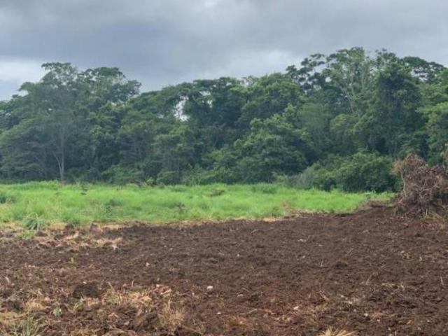 Sítio e chácara venda em Região Geográfica Imediata de Cáceres, Antônio João