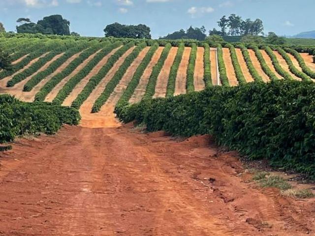 Sítio e chácara venda em Região Imediata de São José do Rio Pardo-Mococa, Caconde