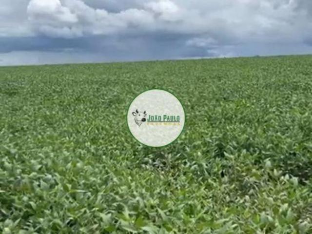 Sítio e chácara venda em Região Geográfica Imediata de Jataí-Mineiros, Caiapônia