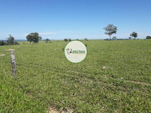 Sítio e chácara venda em Região Geográfica Imediata de Jataí-Mineiros, Caiapônia