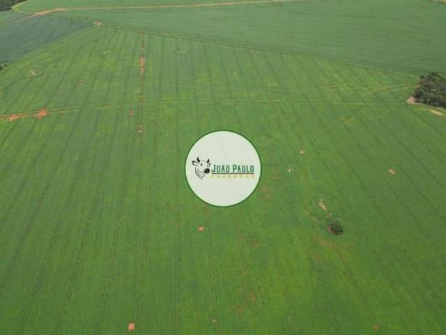 Sítio e chácara venda em Região Geográfica Imediata de Jataí-Mineiros, Caiapônia