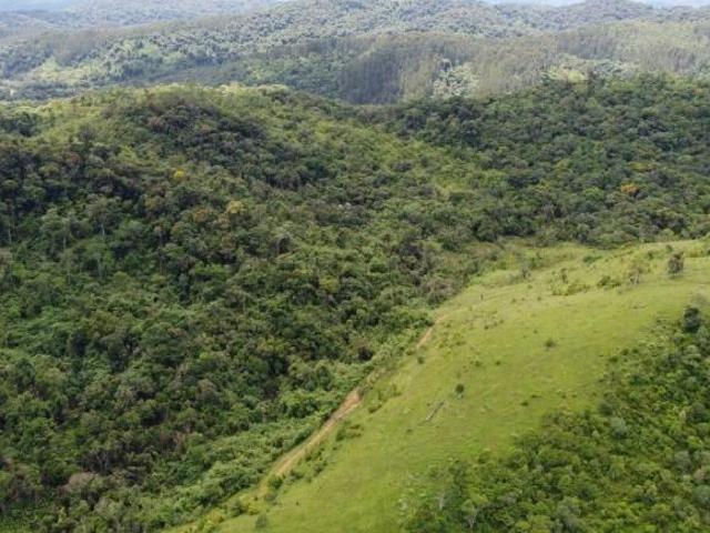 Sítio e chácara venda em Região Geográfica Imediata de Curitiba, Região Metropolitana de Curitiba
