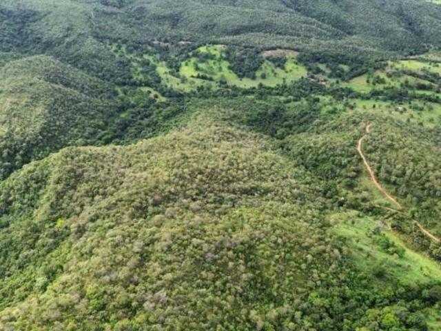 Sítio e chácara venda em Região Geográfica Imediata de Porangatu, Campinaçu