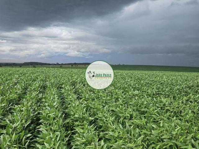 Sítio e chácara venda em Região Geográfica Imediata de Uberlândia, Campina Verde