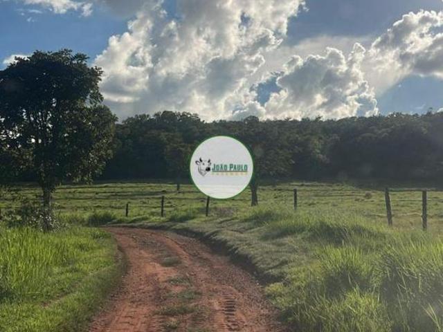 Sítio e chácara venda em Região Geográfica Imediata de Uberlândia, Campina Verde