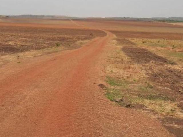 Sítio e chácara venda em Região Geográfica Imediata de Água Boa, Campinápolis