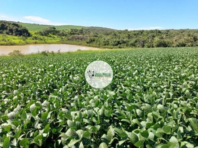 Sítio e chácara venda em Região Geográfica Imediata de Catalão, Campo Alegre de Goiás