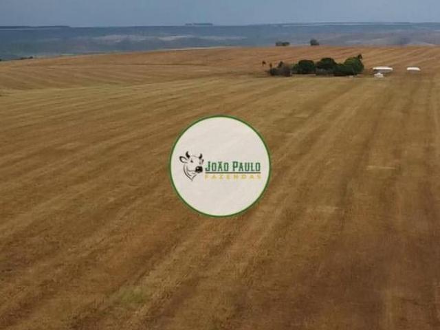Sítio e chácara venda em Campo Alegre de Goiás, Região Geográfica Intermediária de Goiânia