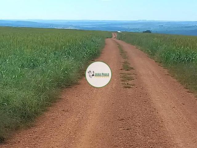 Sítio e chácara venda em Região Geográfica Imediata de Catalão, Campo Alegre de Goiás