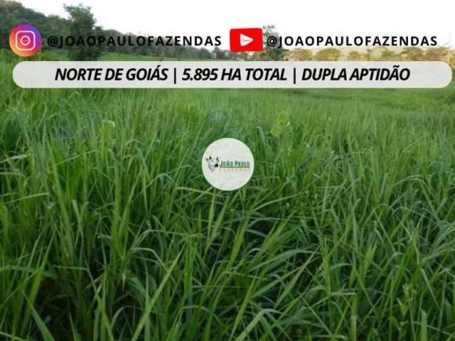 Sítio e chácara venda em Região Geográfica Imediata de Posse-Campos Belos, Campos Belos