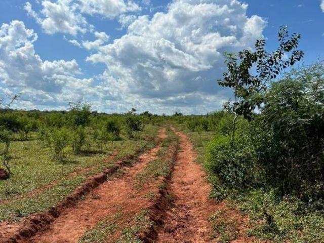 Sítio e chácara venda em Região Geográfica Imediata de Água Boa, Canarana