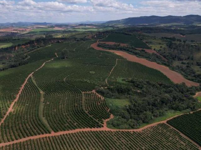 Sítio e chácara venda em Região Geográfica Imediata de Pouso Alegre, Careaçu