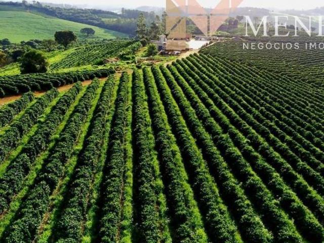 Sítio e chácara venda em Região Geográfica Imediata de Alfenas, Carvalhópolis