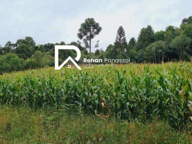 Sítio e chácara venda em Região Geográfica Imediata de Caxias do Sul, Caxias do Sul