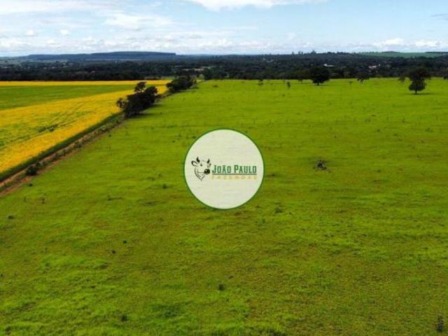 Sítio e chácara venda em Cidade Ocidental, Região Geográfica Intermediária de Luziânia-Águas Lindas de Goiás