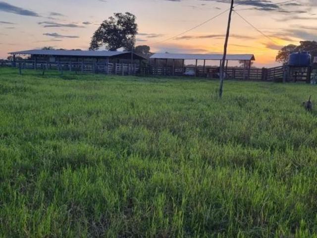 Sítio e chácara venda em Cocalinho, Região Geográfica Intermediária de Barra do Garças