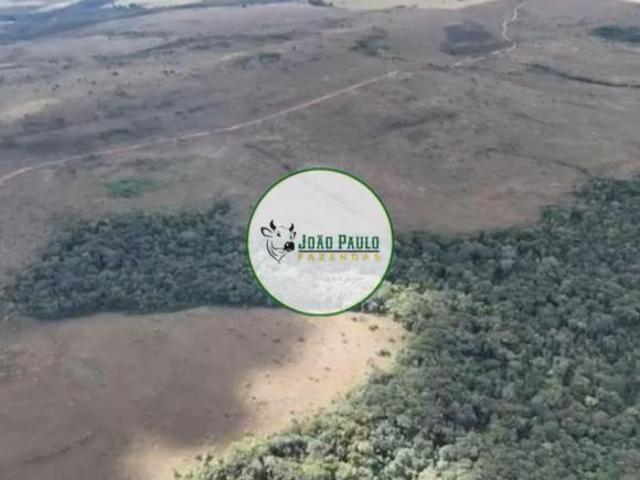 Sítio e chácara venda em Cocalzinho, Cocalzinho de Goiás