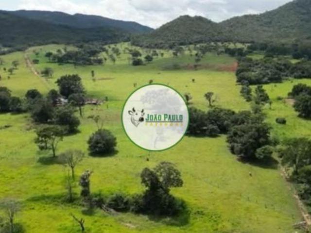 Sítio e chácara venda em Região Geográfica Imediata de Águas Lindas de Goiás, Região Integrada de Desenvolvimento do Distrito Federal e Entorno