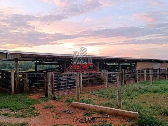 Sítio e chácara venda em Região Geográfica Imediata de Frutal, Comendador Gomes