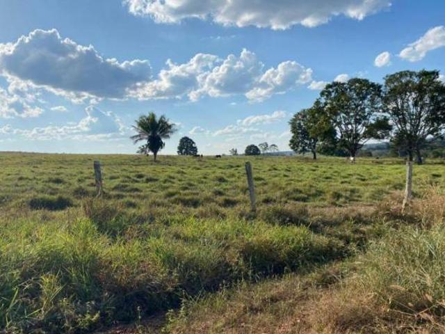 Sítio e chácara venda em Região Geográfica Imediata de Pontes e Lacerda - Comodoro, Comodoro