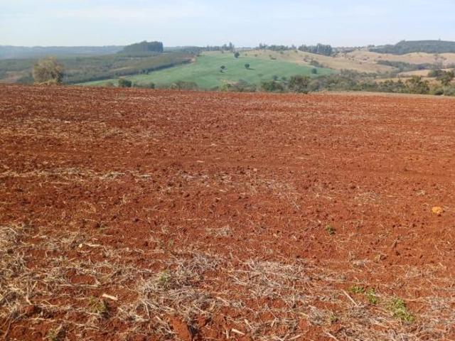 Sítio e chácara venda em Conchas, São Paulo