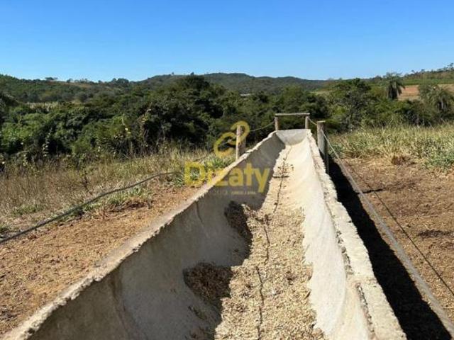 Sítio e chácara venda em Região Geográfica Imediata de Sete Lagoas, Cordisburgo