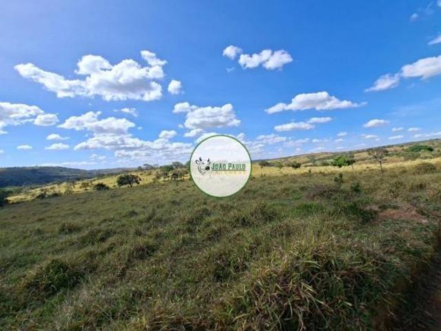 Sítio e chácara venda em Região Geográfica Imediata de Anápolis, Região Integrada de Desenvolvimento do Distrito Federal e Entorno