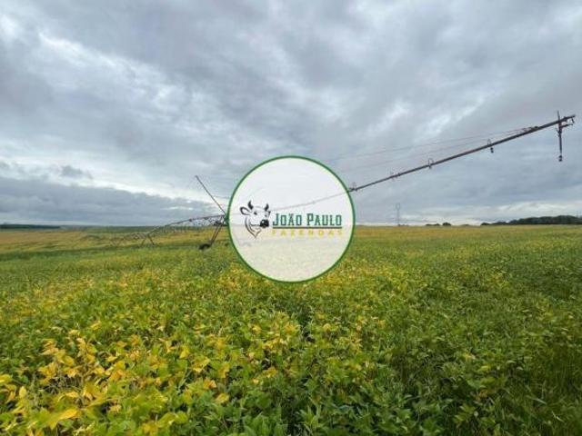 Sítio e chácara venda em Região Geográfica Imediata de Luziânia, Região Integrada de Desenvolvimento do Distrito Federal e Entorno