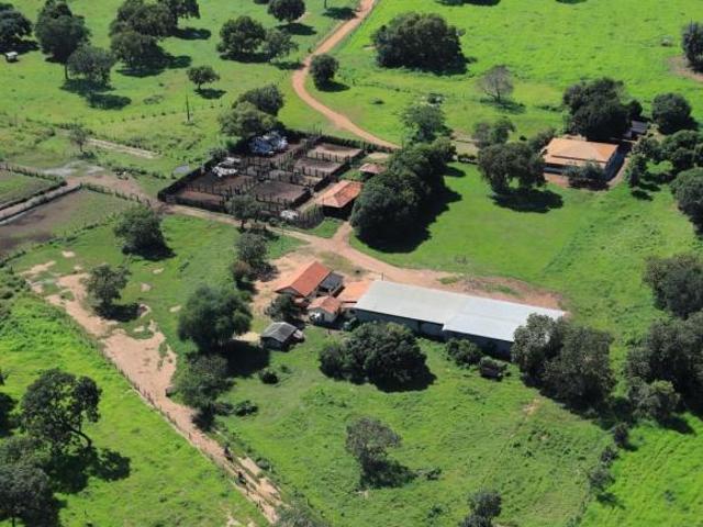 Sítio e chácara venda em Região Geográfica Imediata de Ceres - Rialma - Goianésia, Crixás