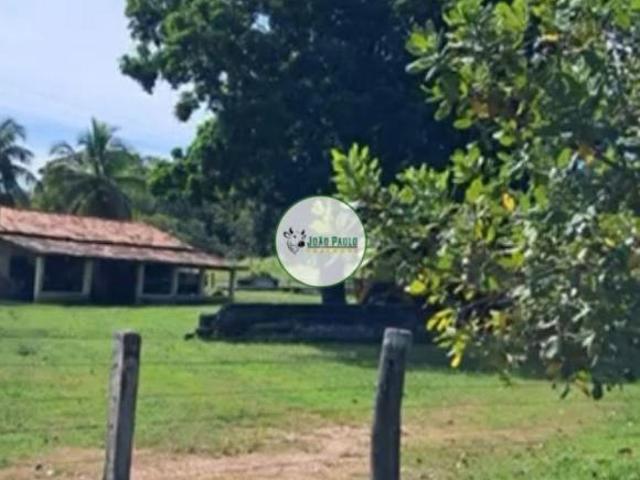 Sítio e chácara venda em Região Geográfica Imediata de Ceres - Rialma - Goianésia, Crixás