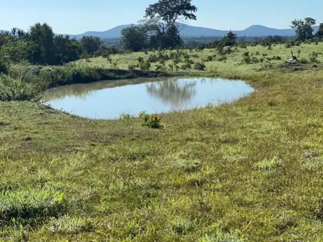 Fazenda venda em Região Geográfica Imediata de Ceres - Rialma - Goianésia, Crixás
