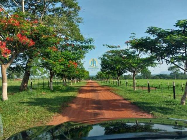 Sítio e chácara venda em Região Geográfica Imediata de Cuiabá, Região Metropolitana do Vale do Rio Cuiabá