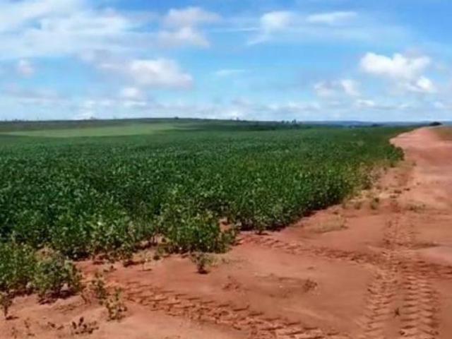 Sítio e chácara venda em Região Geográfica Imediata de Jaciara, Dom Aquino