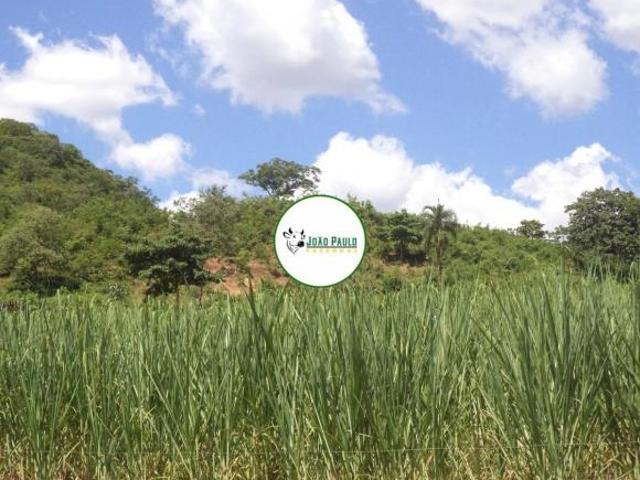Sítio e chácara venda em Região Geográfica Imediata de Unaí, Dom Bosco