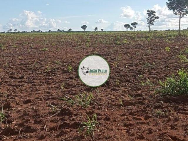 Sítio e chácara venda em Região Geográfica Imediata de Goiás - Itapuranga, Aruanã