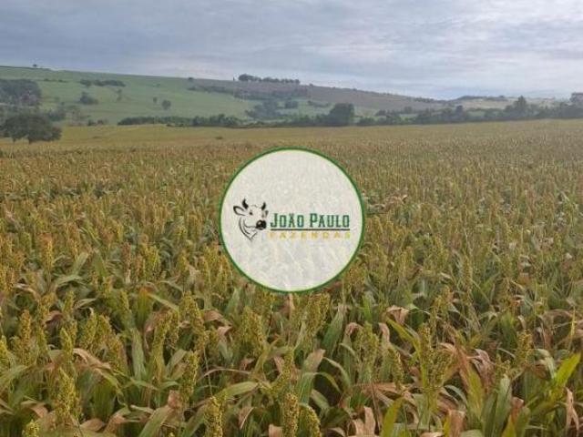 Sítio e chácara venda em Região Imediata de Franca, Rifaina
