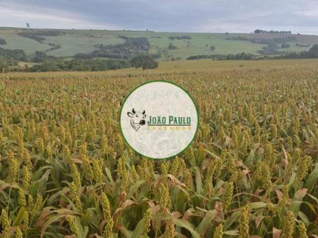 Sítio e chácara venda em Rifaina, Região Geográfica Intermediária de Ribeirão Preto