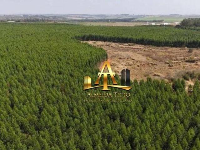 Sítio e chácara venda em Itu