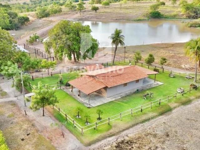 Sítio e chácara venda em Região Geográfica Imediata de Goiás - Itapuranga, Faina