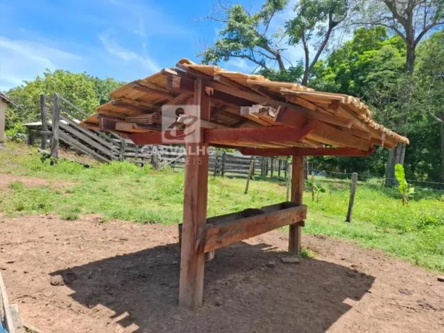 Fazenda venda em Região Geográfica Imediata de Goiás - Itapuranga, Faina
