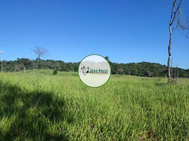 Sítio e chácara venda em Região Geográfica Imediata de São Luís de Montes Belos, Fazenda Nova