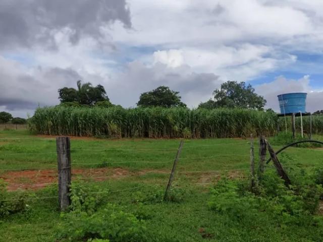 Fazenda venda em Região Geográfica Imediata de São Luís de Montes Belos, Fazenda Nova