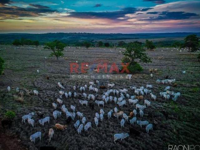 Sítio e chácara venda em Região Geográfica Imediata de Coxim, Coxim