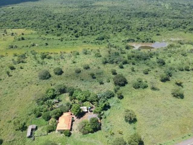 Sítio e chácara venda em Região Geográfica Imediata de Flores de Goiás, Flores de Goiás