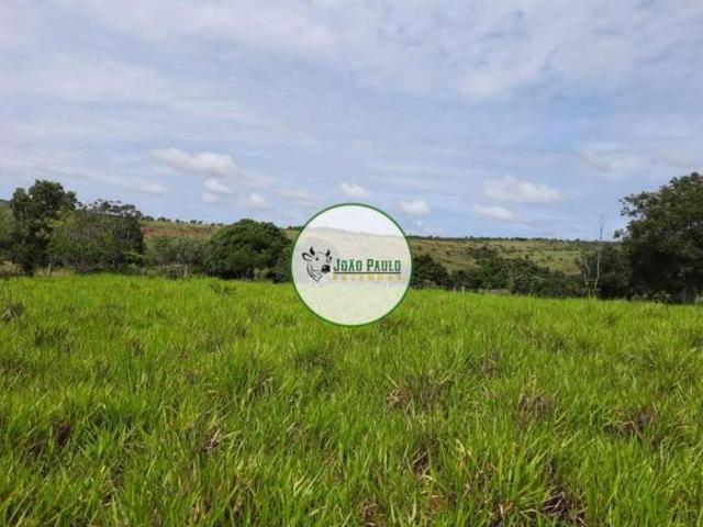 Sítio e chácara venda em Região Geográfica Imediata de Águas Lindas de Goiás, Região Integrada de Desenvolvimento do Distrito Federal e Entorno